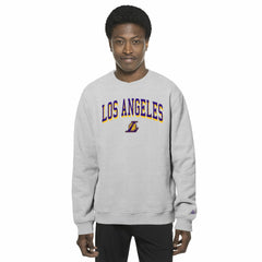 Los Angeles Lakers Chenille Cross Over Pullover Sweatshirt Gray