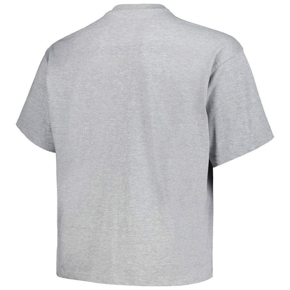 Denver Nuggets Big & Tall Hardwood Classics Vintage Logo T-Shirt Heather Gray
