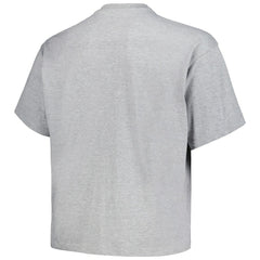 Denver Nuggets Big & Tall Hardwood Classics Vintage Logo T-Shirt Heather Gray