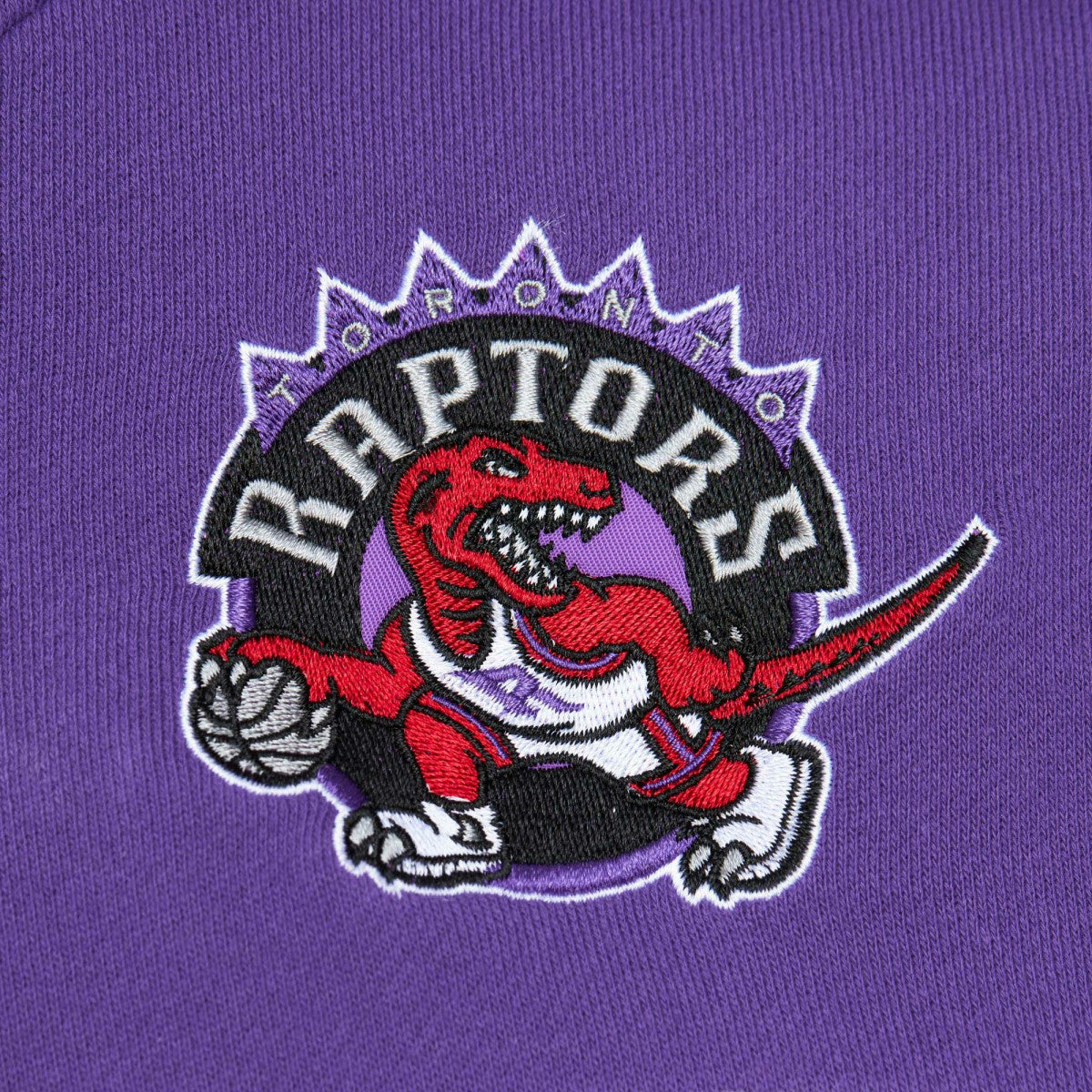 Toronto Raptors Head Coach Pullover Hoodie Red/Purple