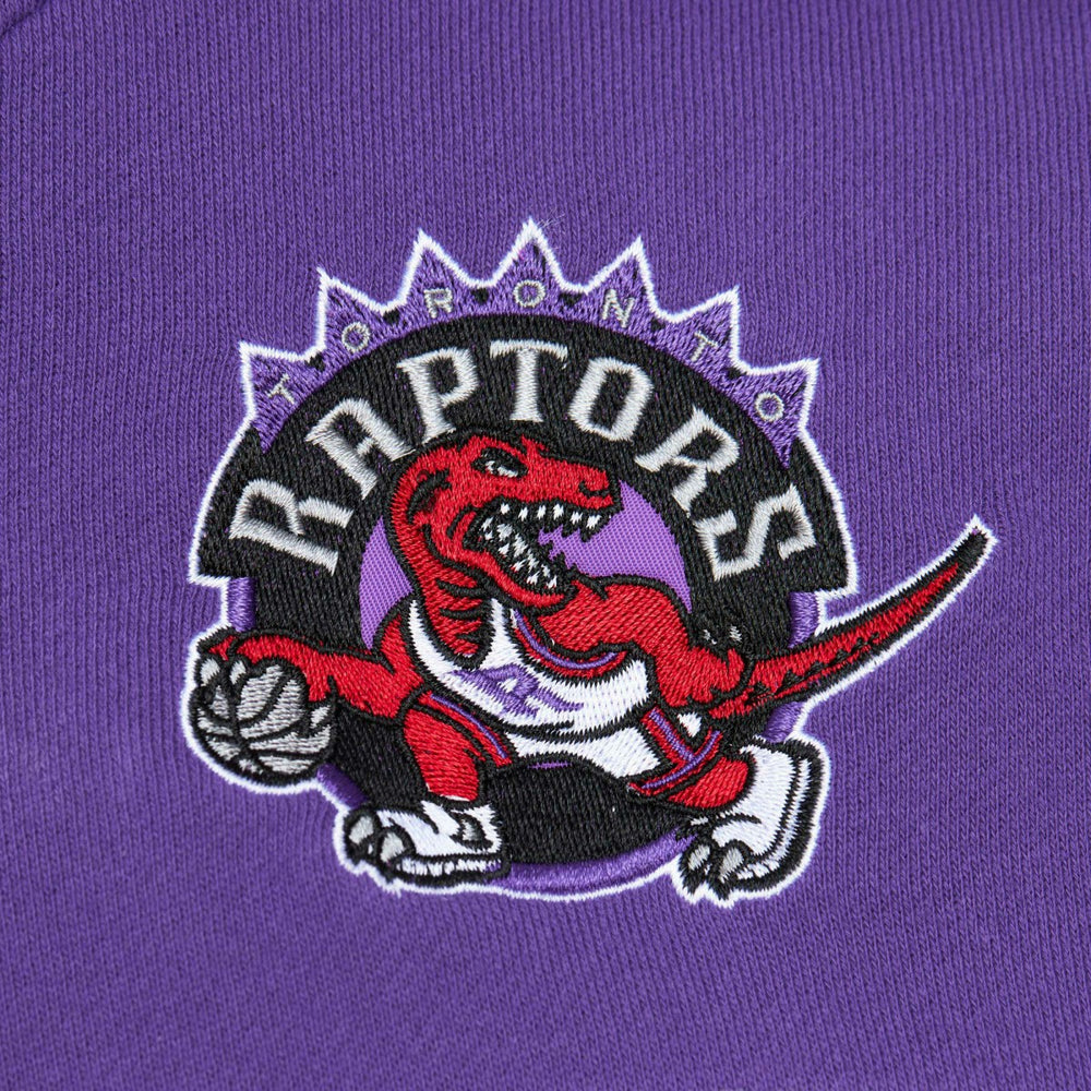 Toronto Raptors Head Coach Pullover Hoodie Red/Purple