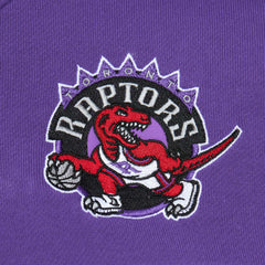 Toronto Raptors Head Coach Pullover Hoodie Red/Purple