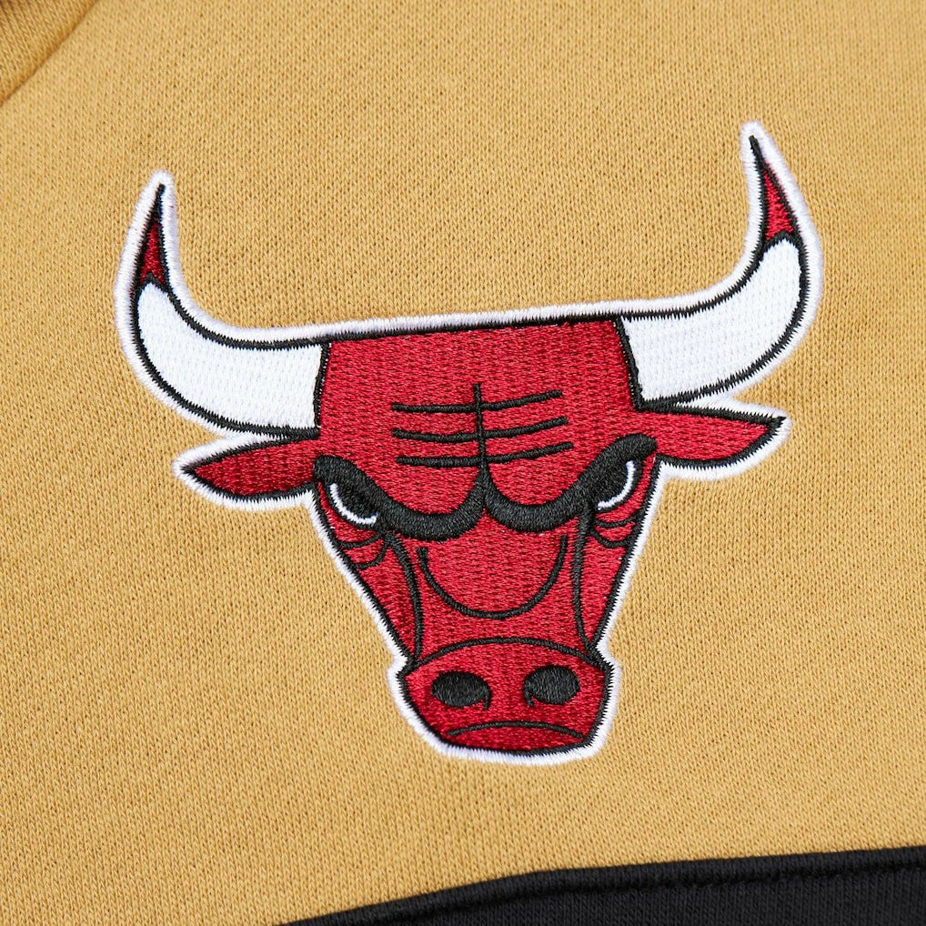 Chicago Bulls Head Coach Pullover Hoodie Red/Gold