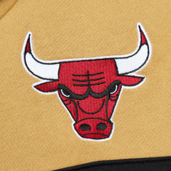 Chicago Bulls Head Coach Pullover Hoodie Red/Gold