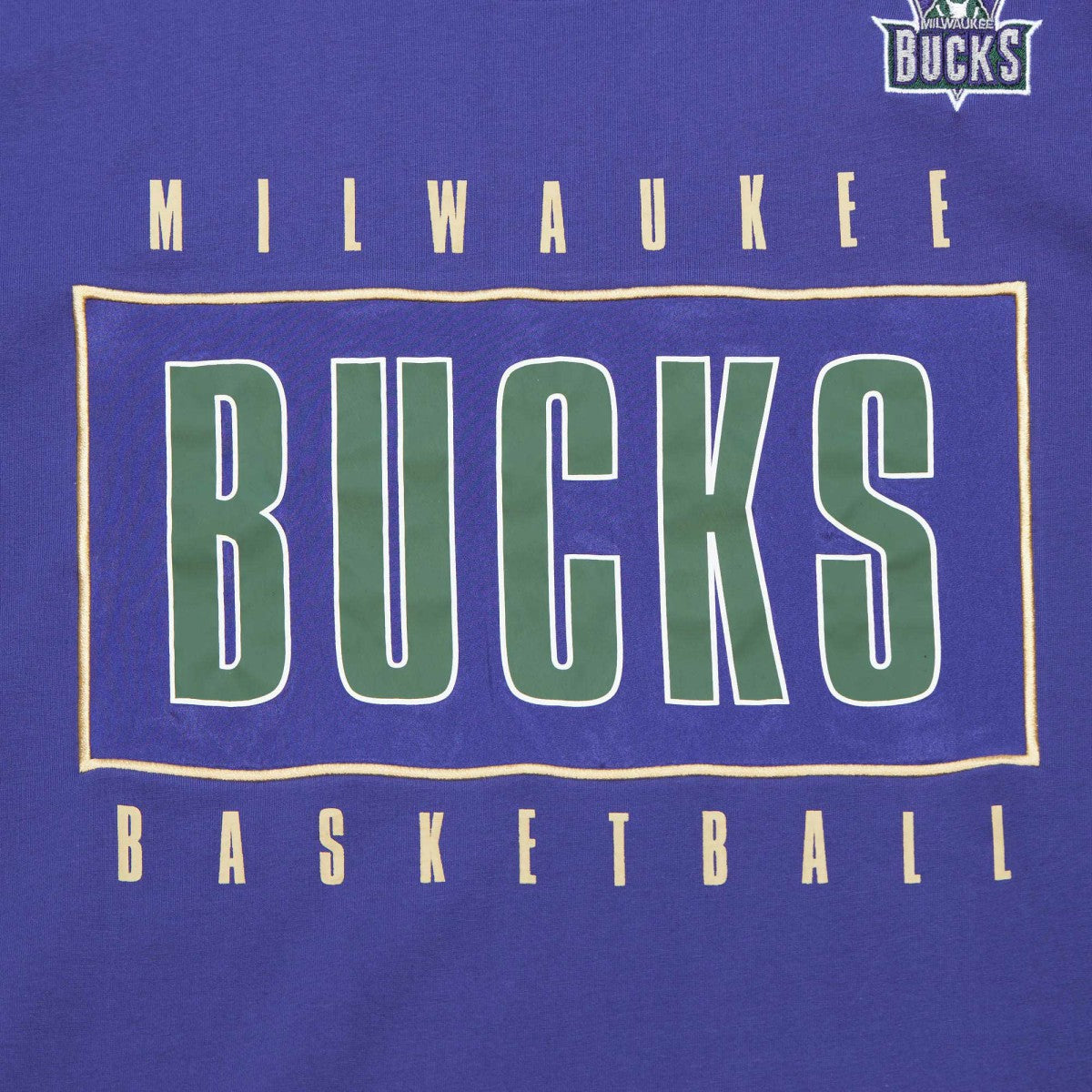 Milwaukee Bucks Hardwood Classics Team OG 2.0 Premium Vintage Logo T-Shirt Purple