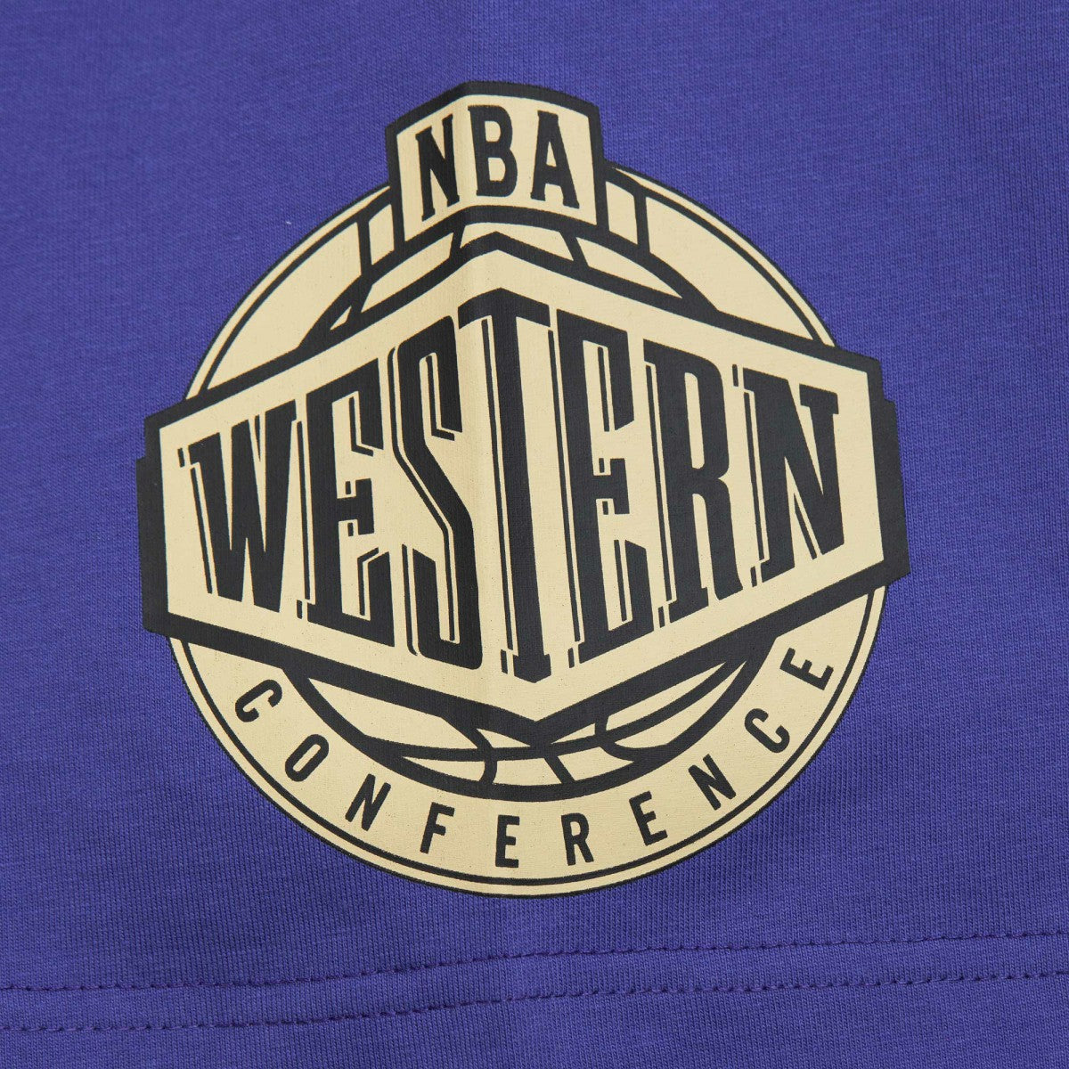 Phoenix Suns Hardwood Classics Team OG 2.0 Premium Vintage Logo T-Shirt Purple