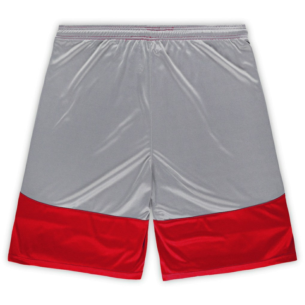 San Francisco 49ers Big & Tall Team Logo Shorts Scarlet