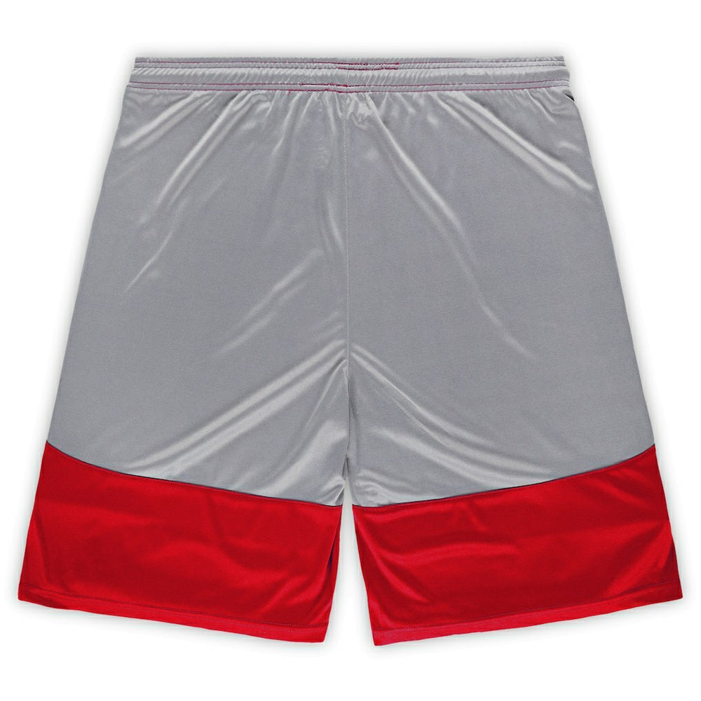 San Francisco 49ers Big & Tall Team Logo Shorts Scarlet