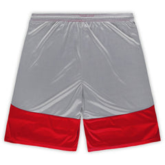 San Francisco 49ers Big & Tall Team Logo Shorts Scarlet