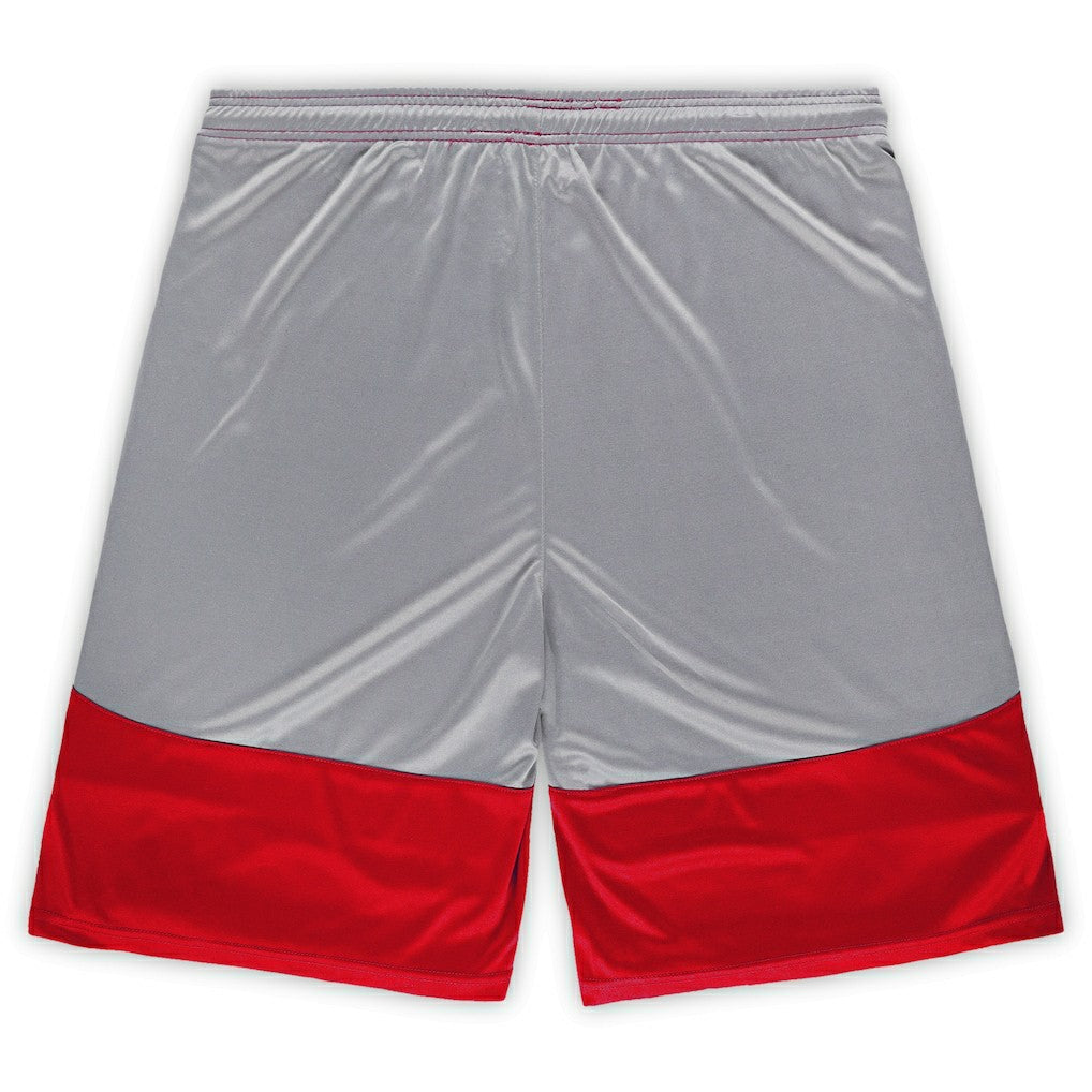 Arizona Cardinals Big & Tall Team Logo Shorts Cardinal