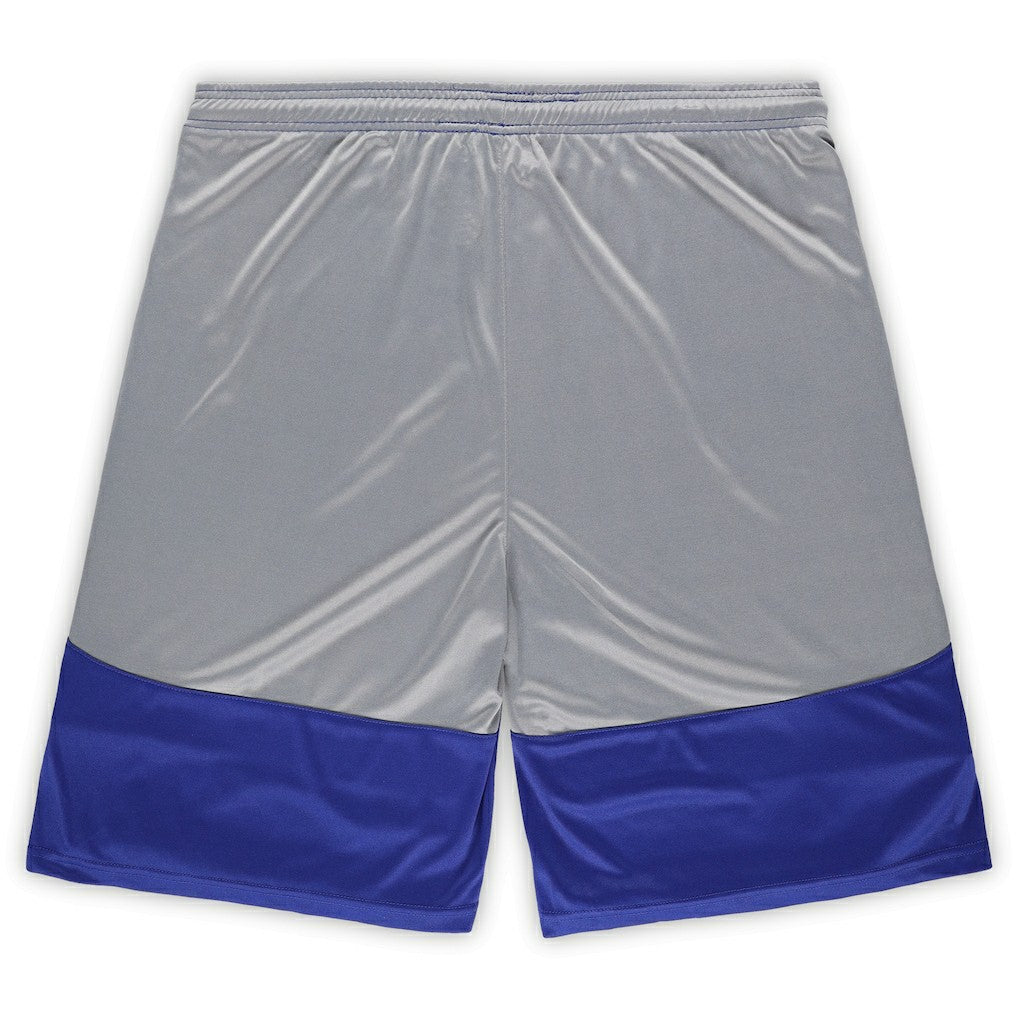 Indianapolis Colts Big & Tall Team Logo Shorts Royal