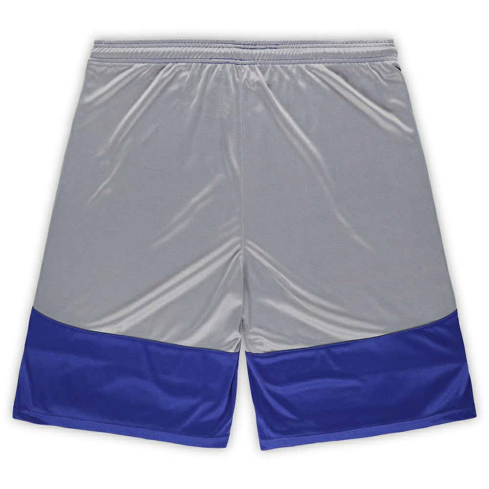 Indianapolis Colts Big & Tall Team Logo Shorts Royal