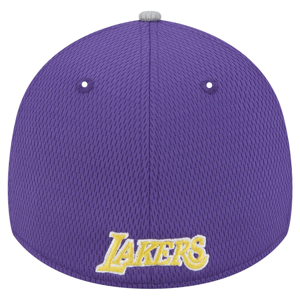 Los Angeles Lakers Active Trim 39THIRTY Flex Hat Gray/Purple