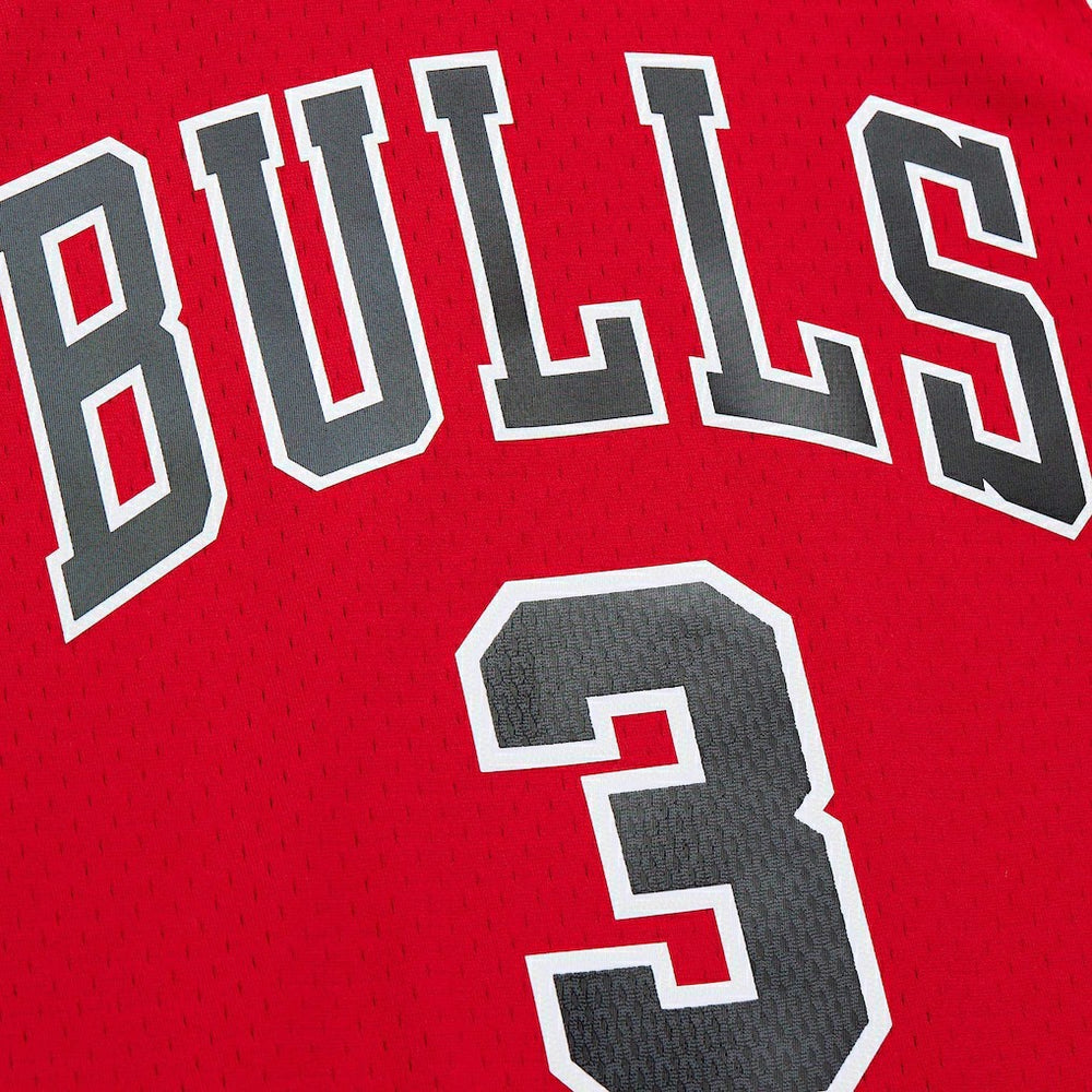 Dwyane Wade Chicago Bulls 2016/17 Hardwood Classics Swingman Jersey Red