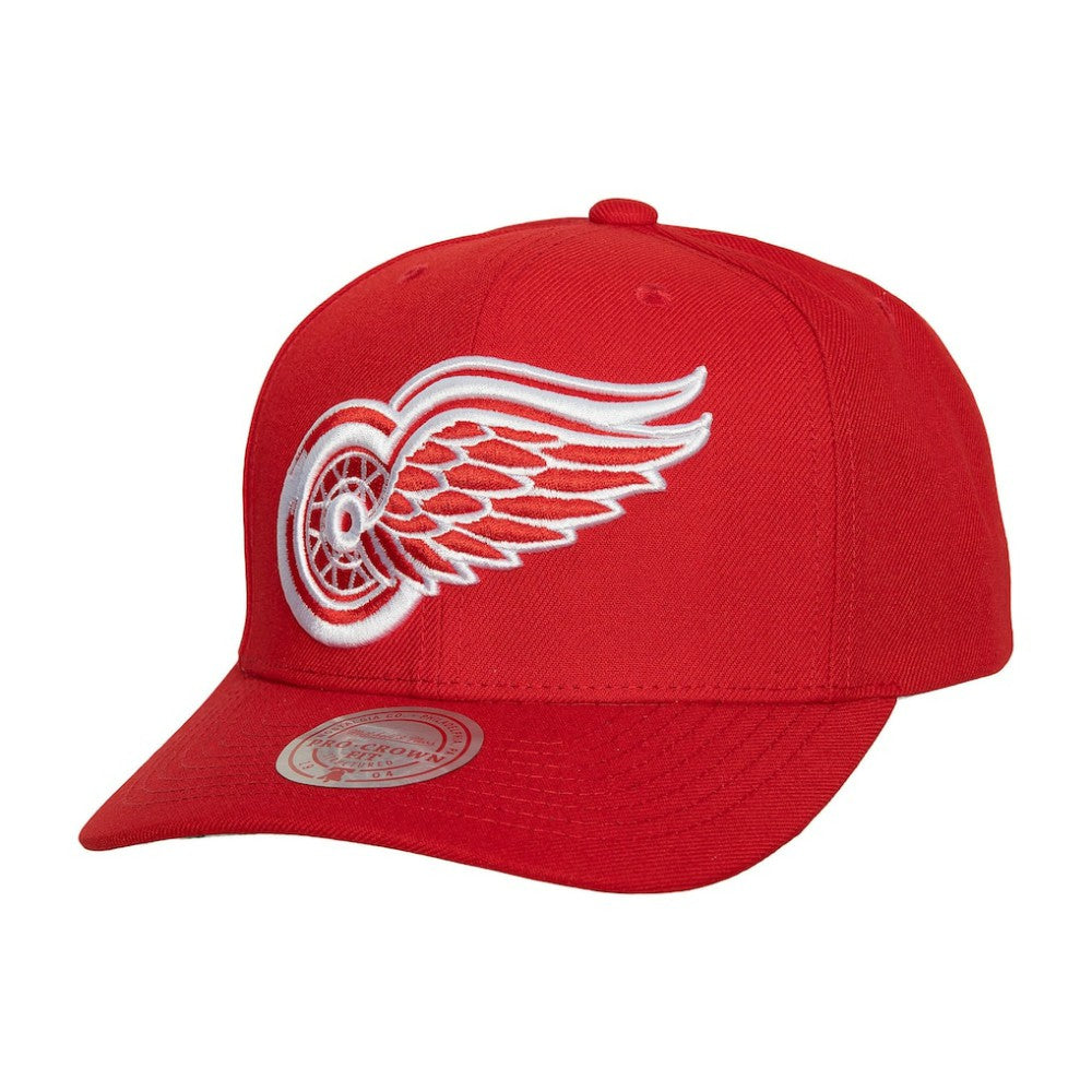 NHL Detroit Red Wings Mitchell & Ness Team Ground Pro Adjustable Hat - Red