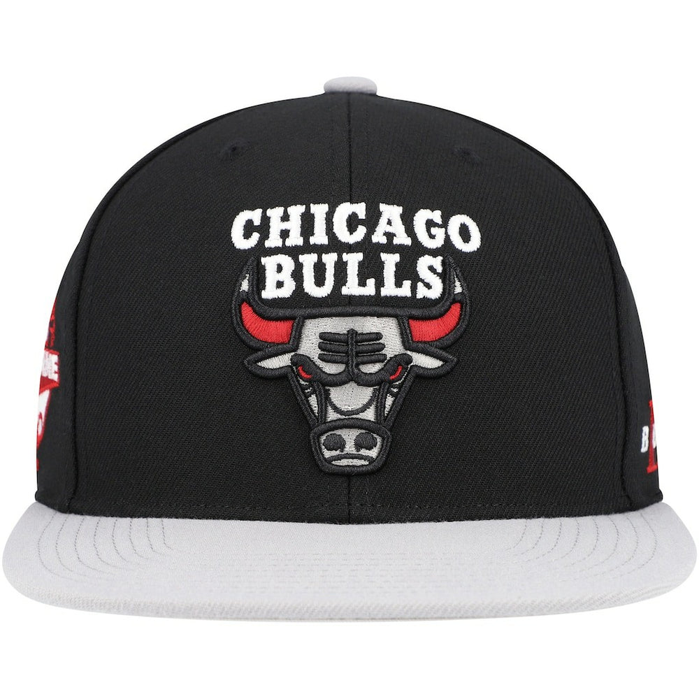 Chicago Bulls Core Snapback Hat Black/Gray