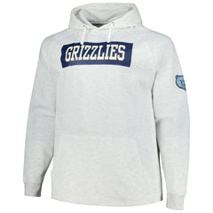 Memphis Grizzlies Big & Tall Raglan Tri-Blend Pullover Hoodie Ash