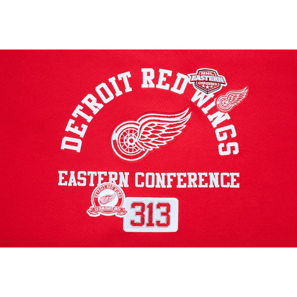 NHL Detroit Red Wings Pro Standard Women's Area Code Cropped Pullover Sweatshirt - Red