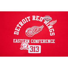 NHL Detroit Red Wings Pro Standard Women's Area Code Cropped Pullover Sweatshirt - Red