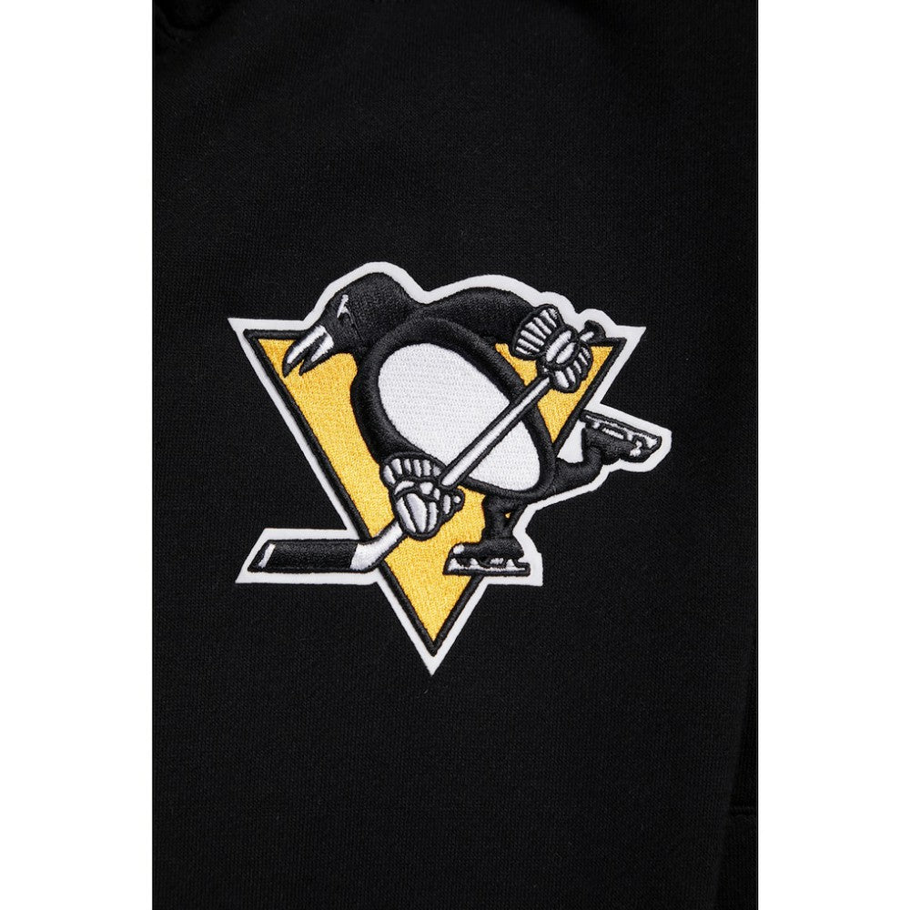 NHL Pittsburgh Penguins Pro Standard Paint the City Pullover Hoodie - Black