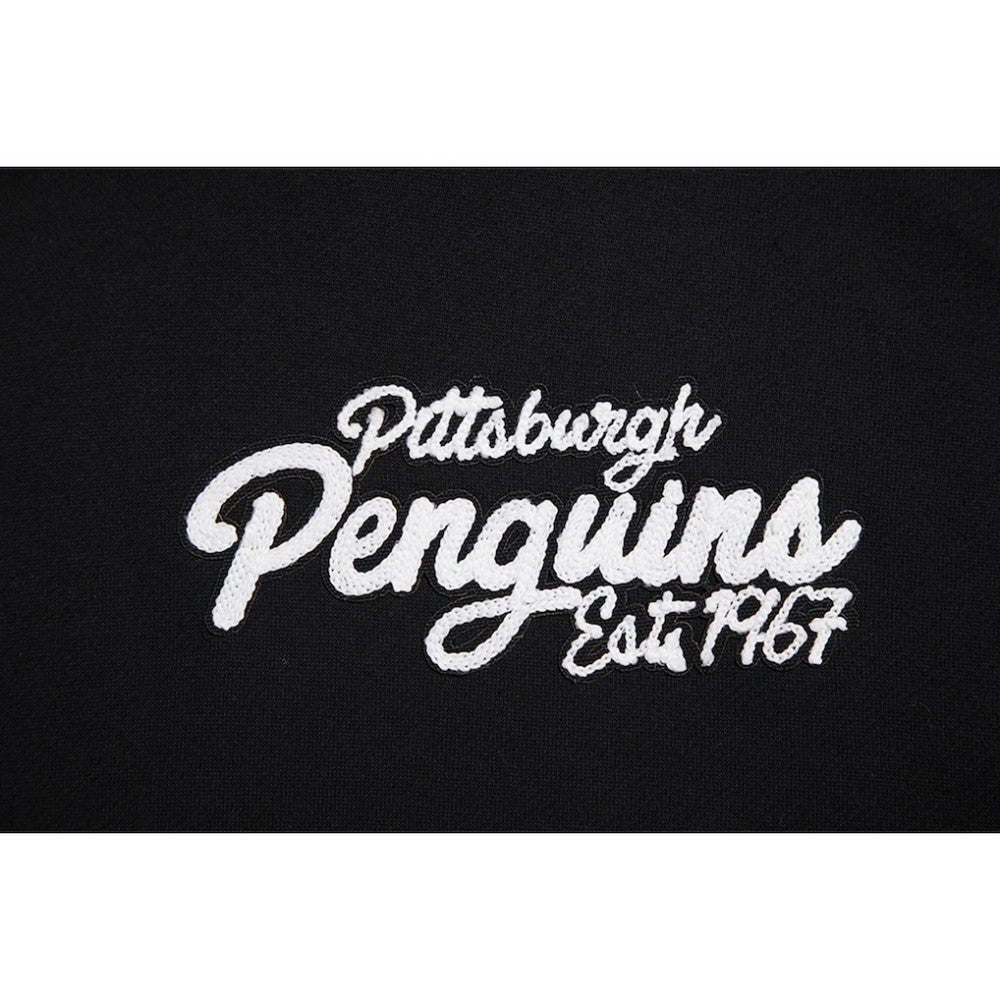NHL Pittsburgh Penguins Pro Standard Paint the City Pullover Hoodie - Black