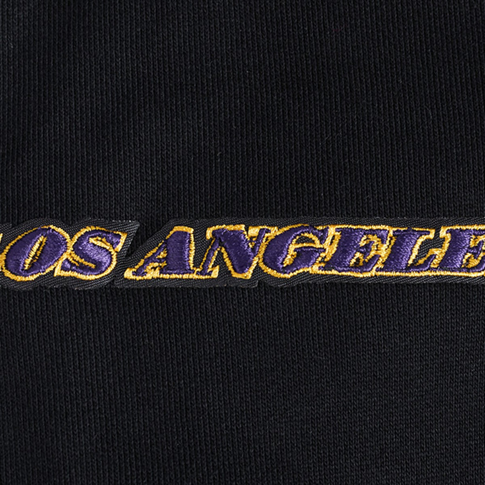 Los Angeles Lakers Pro Standard Area Code Pullover Hoodie Black