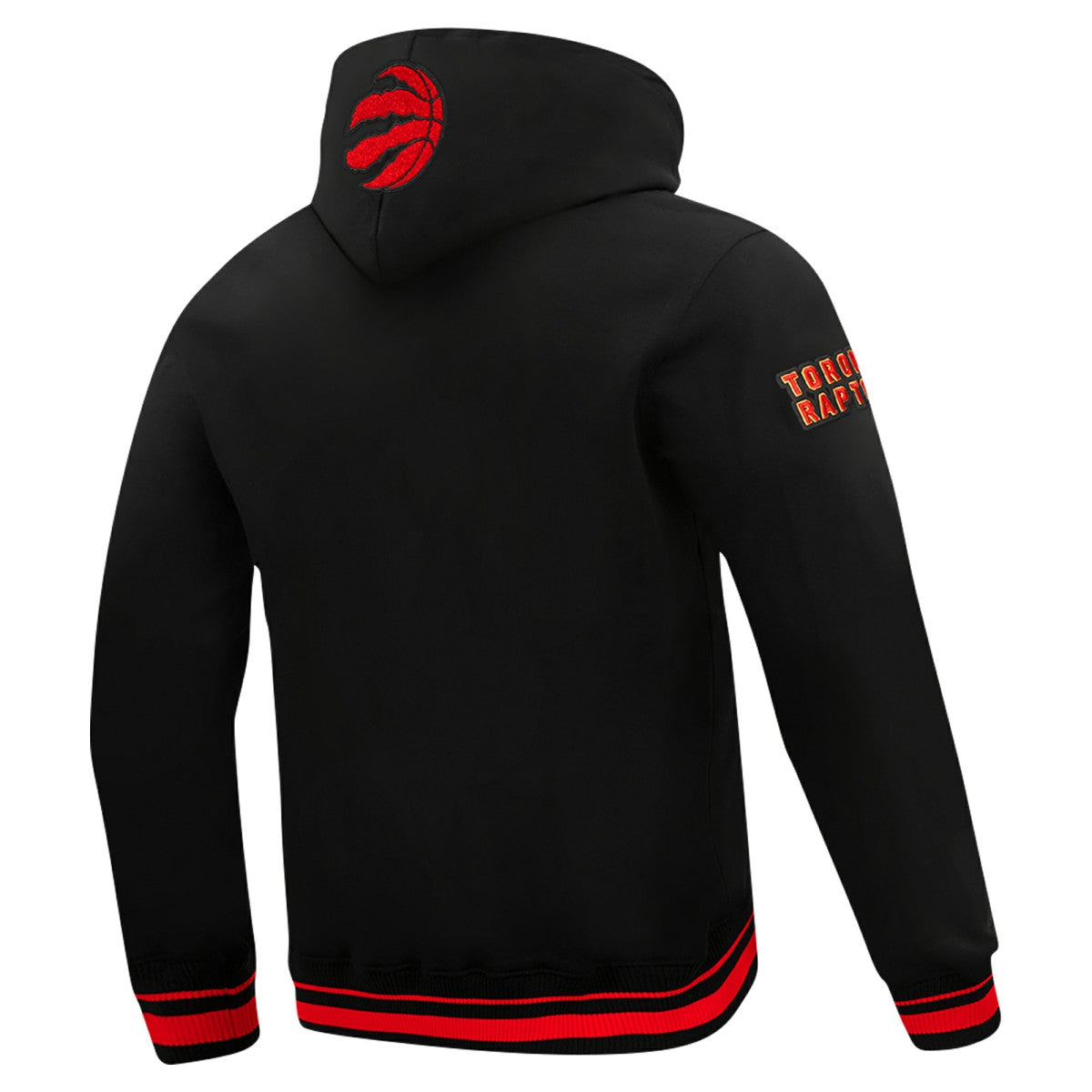 Toronto Raptors Pro Standard Area Code Pullover Hoodie Black