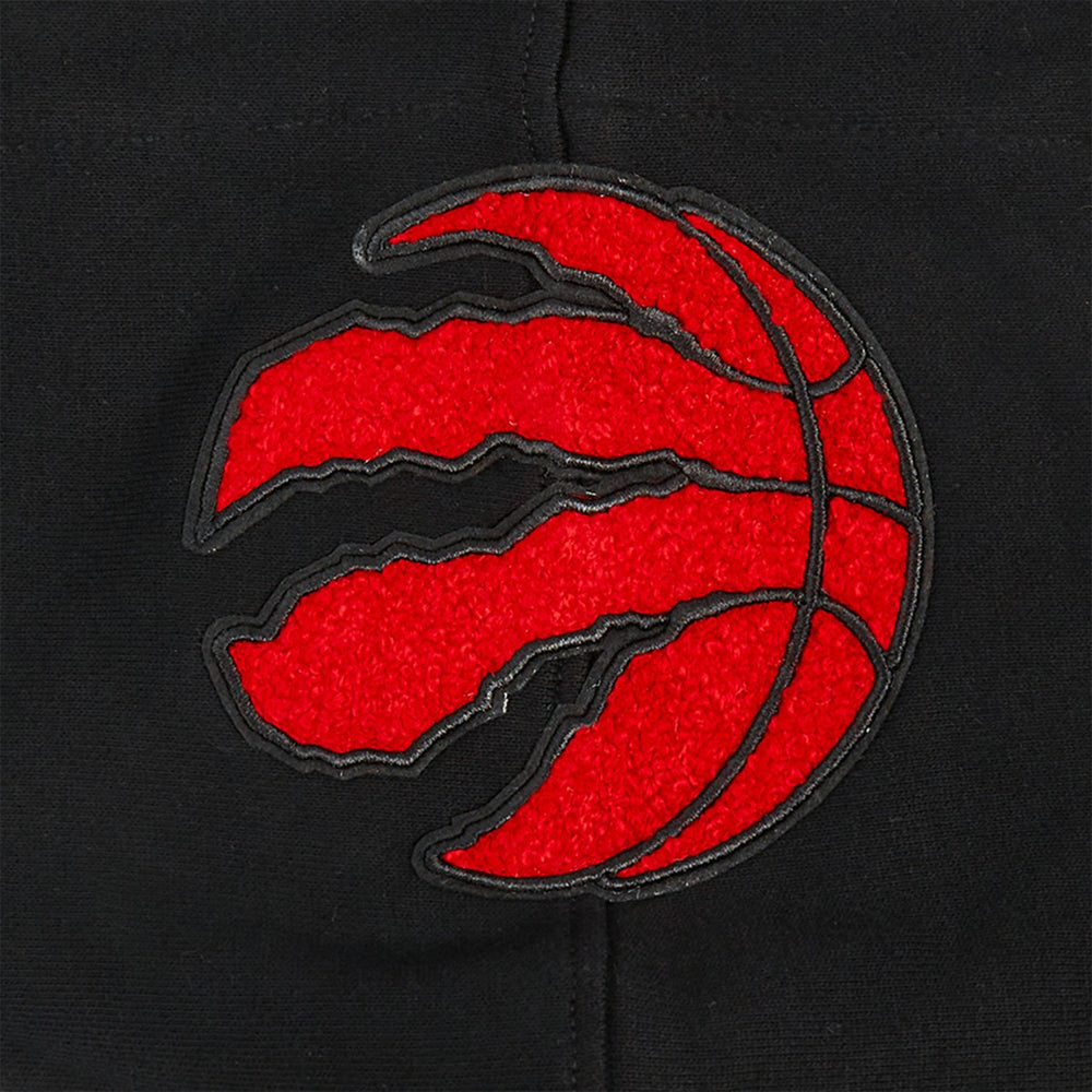 Toronto Raptors Pro Standard Area Code Pullover Hoodie Black