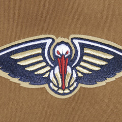 New Orleans Pelicans Pro Standard Paint the City Drop Shoulder Pullover Hoodie Brown