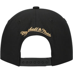 NHL Florida Panthers Mitchell & Ness Core Team Script 2.0 Snapback Hat - Black