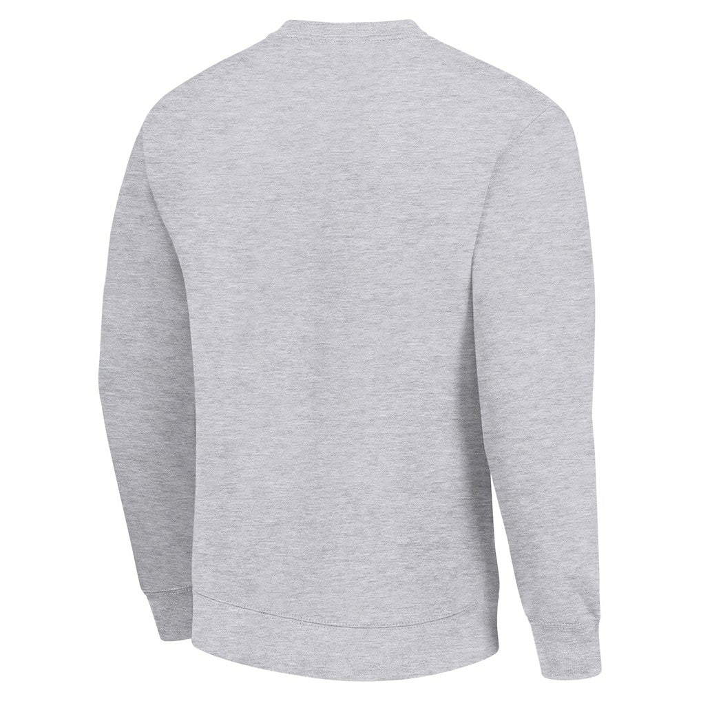 Pittsburgh Steelers Starter Team Mesh Print Graphic Pullover Sweatshirt Heather Gray