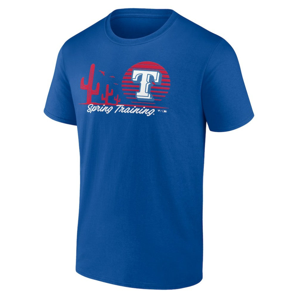 Texas Rangers MLB Spring Training Horizon Line T-Shirt - Royal T-shirts