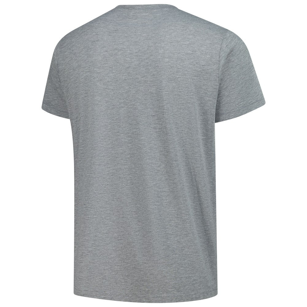 Cincinnati Reds Homage Grateful Dead Tri-Blend T-Shirt - Gray T-shirts
