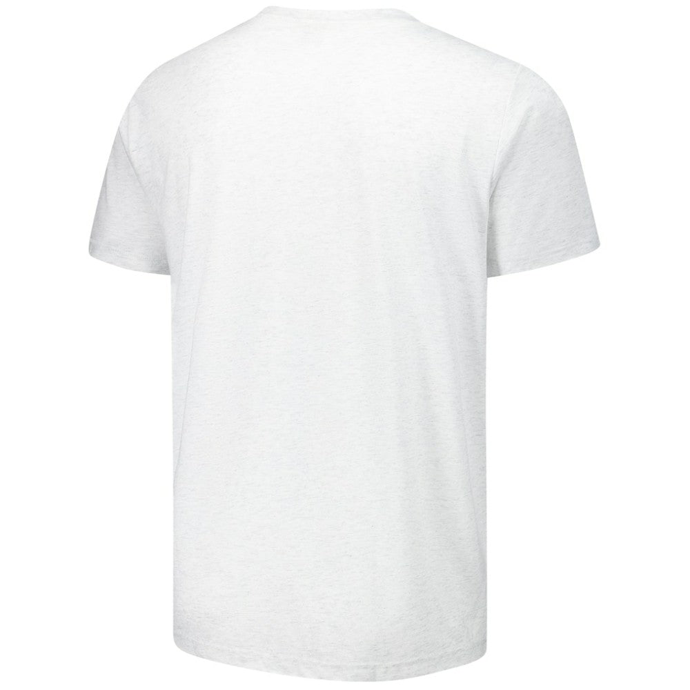 Boston Red Sox Homage Grateful Dead Tri-Blend T-Shirt - Ash T-shirts