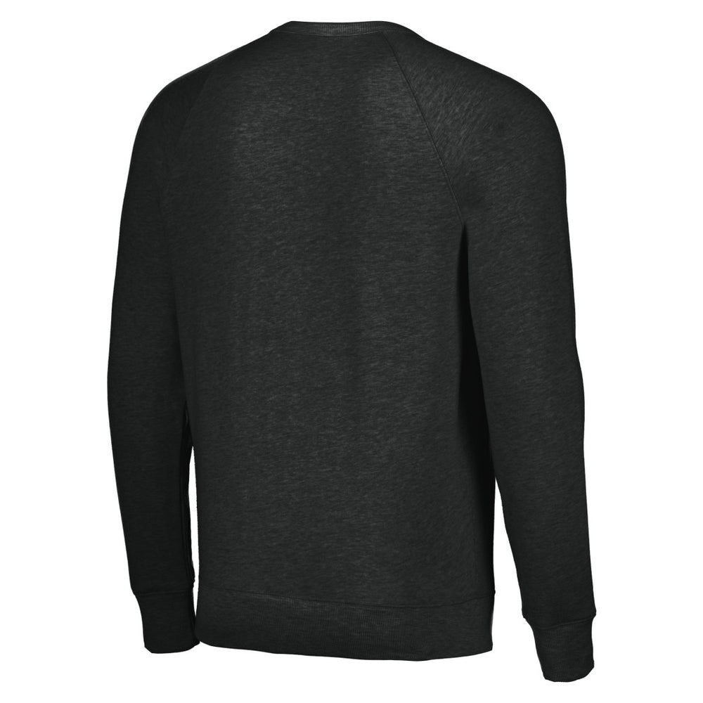 Houston Texans Homage Unisex Color Rush Crest Tri-Blend Pullover Sweatshirt Charcoal