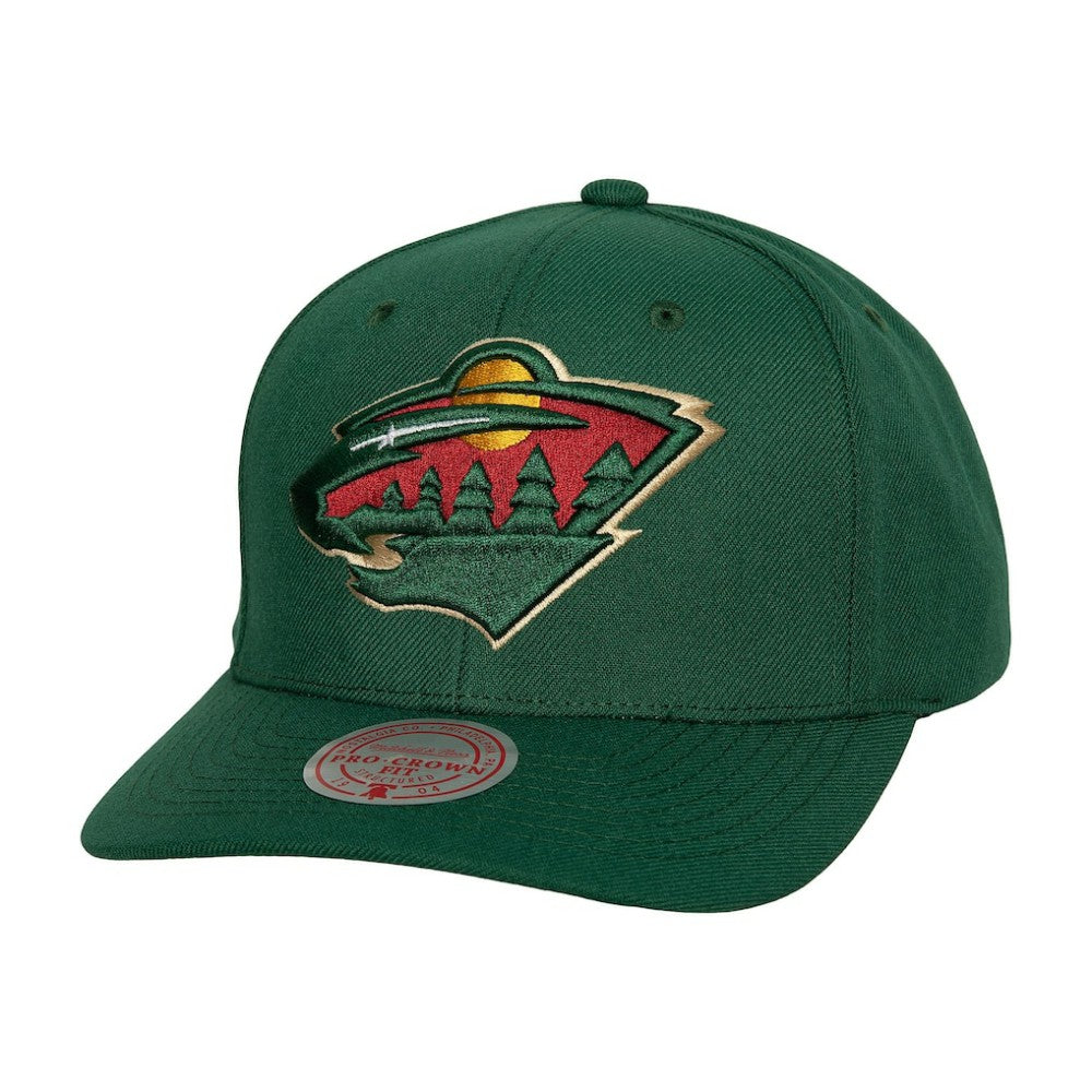 NHL Minnesota Wild Mitchell & Ness Core Team Ground Pro Adjustable Hat - Green