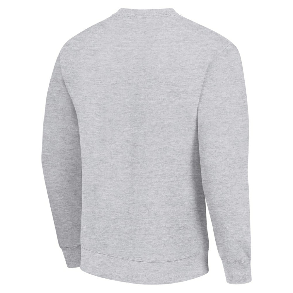 NHL New Jersey Devils Starter Player Grid Fleece Pullover Sweatshirt - Heather Gray