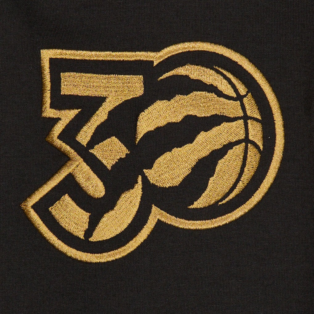Toronto Raptors 2024/25 City Edition Chenille Heavyweight Pullover Hoodie Black