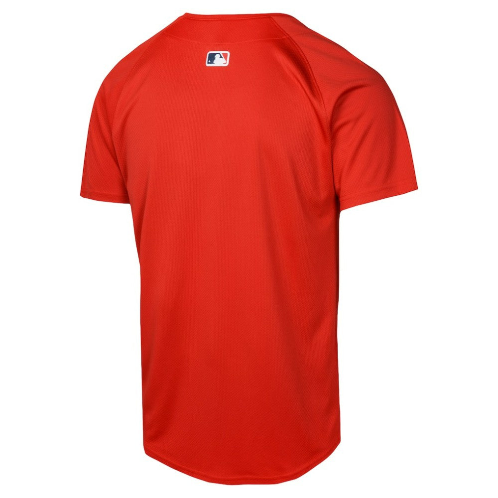 Boston Red Sox Nike Youth Alternate Limited Jersey - Red Jerseys