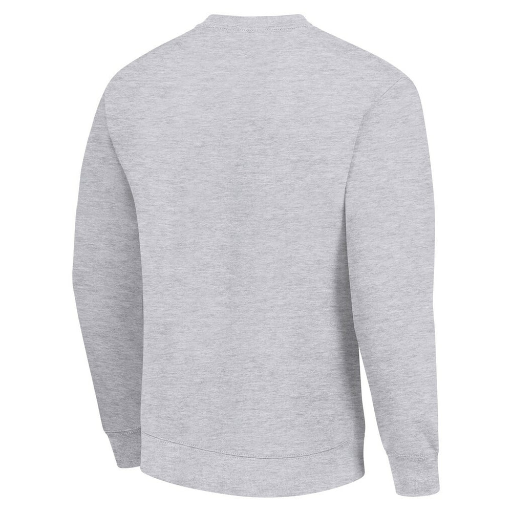 Green Bay Packers Starter Color Scratch Team Graphic Fleece Pullover Sweatshirt Heather Gray