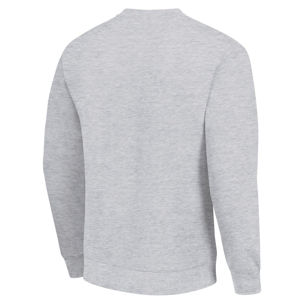 Green Bay Packers Starter Half Ball Team Graphic Tri-Blend Fleece Pullover Sweatshirt Heather Gray