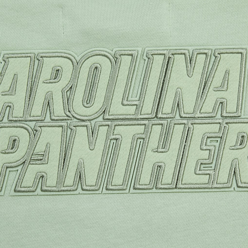 Carolina Panthers Pro Standard Women's Oversized Cropped Neutral Pullover Sweatshirt Light Green