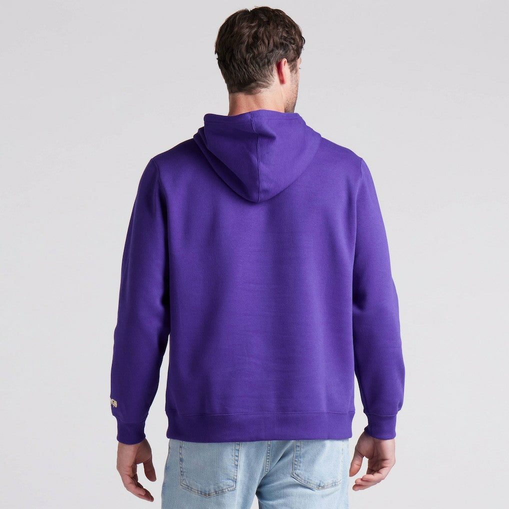Minnesota Vikings Pylon Cam Legacy Pullover Hoodie Purple