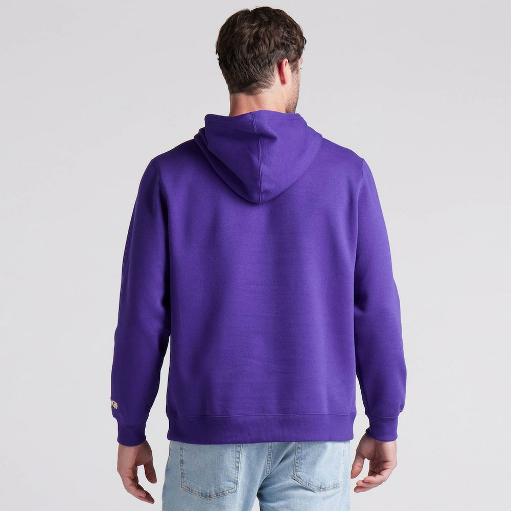 Minnesota Vikings Pylon Cam Legacy Pullover Hoodie Purple