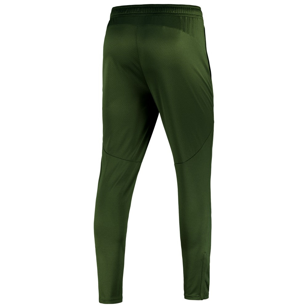 Manchester City 2024/25 dryCELL Training Pants Sky Forest Green