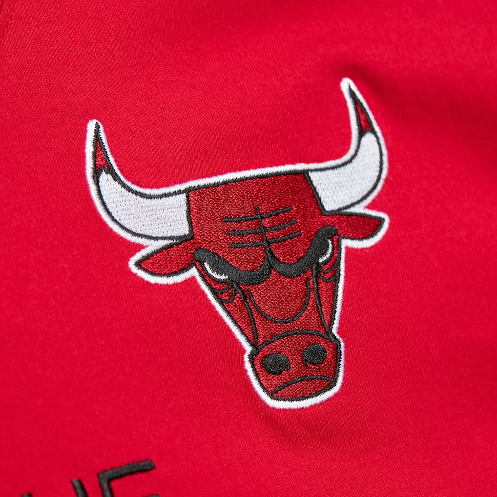 Dennis Rodman Chicago Bulls Premium Nickname T-Shirt Red