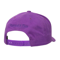 Phoenix Suns Washed Out Tonal Logo Snapback Hat Purple
