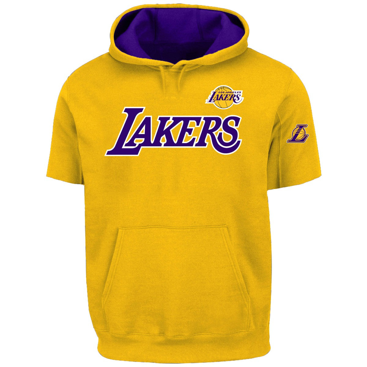 LeBron James Los Angeles Lakers Big & Tall Short Sleeve Hoodie Gold