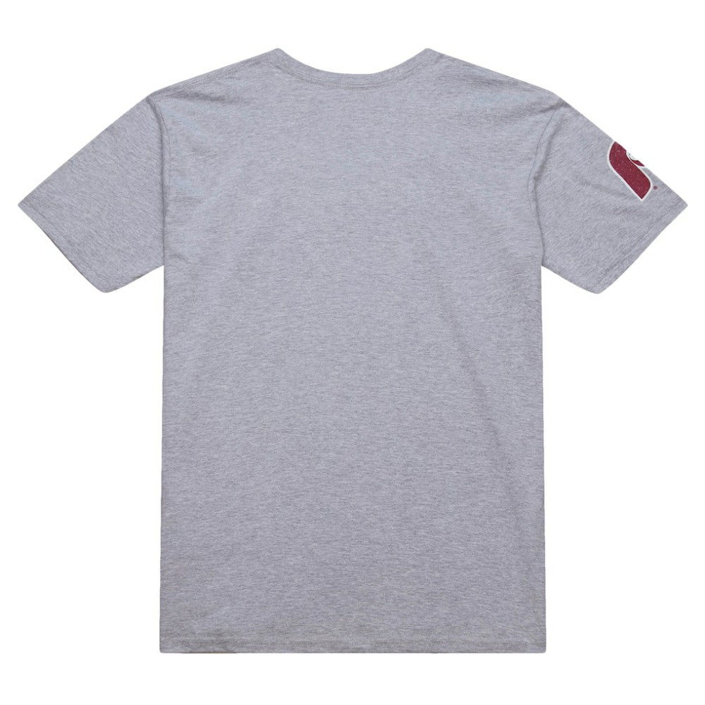 Darren Daulton Philadelphia Phillies Mitchell & Ness Cooperstown Collection Player T-Shirt - Heather Gray T-shirts