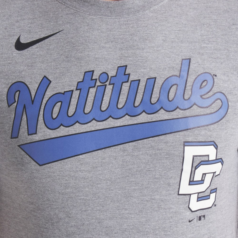 Washington Nationals Nike City Connect Script Tri-Blend T-Shirt - Heather Charcoal T-shirts
